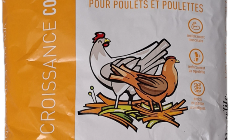 GAMME POUSSIN - POULET POULETTE